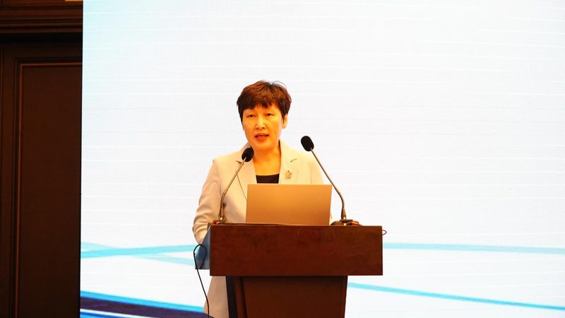 上海个人申请实用新型专利代理：流程解析与关键要点**